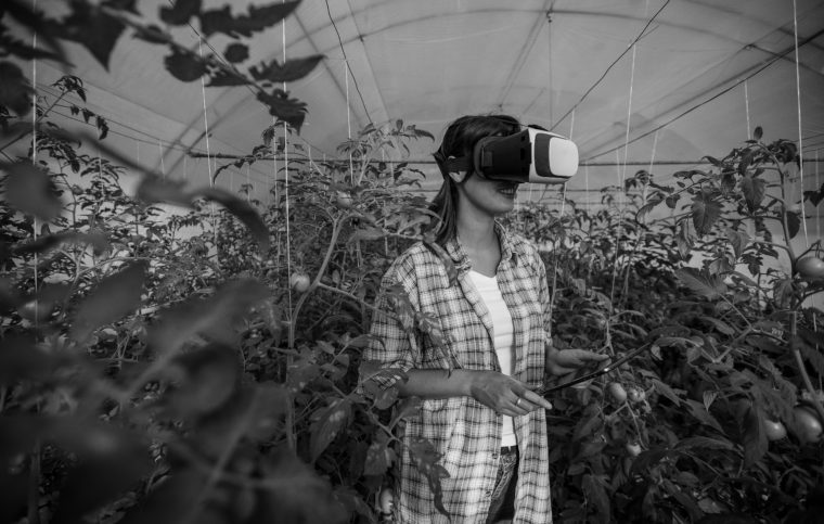 Virtuelle Räume schaffen nachhaltige Erlebnisse